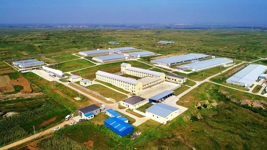 ��������(�й���)���޹�˾����