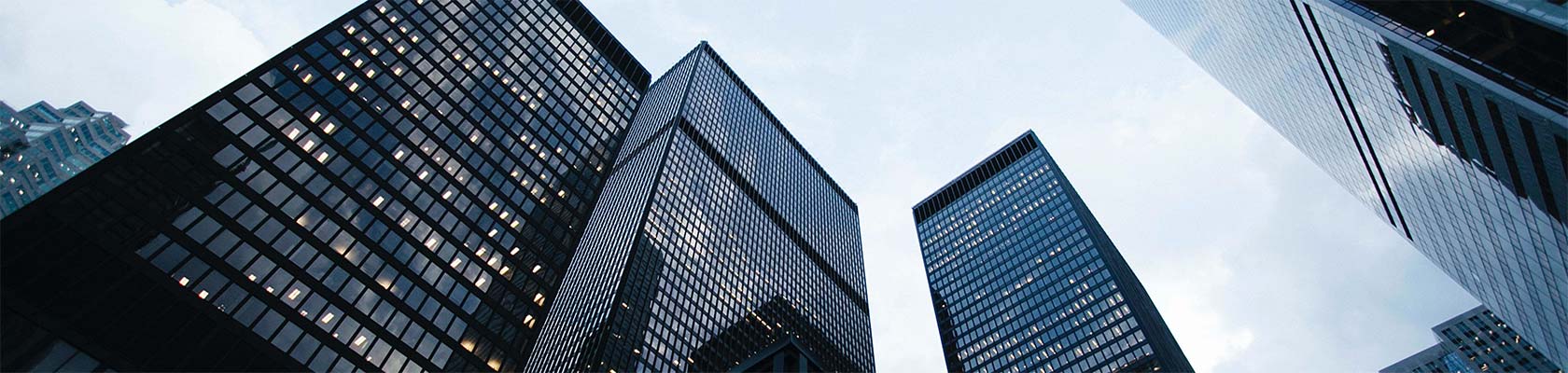 ��ϵ����