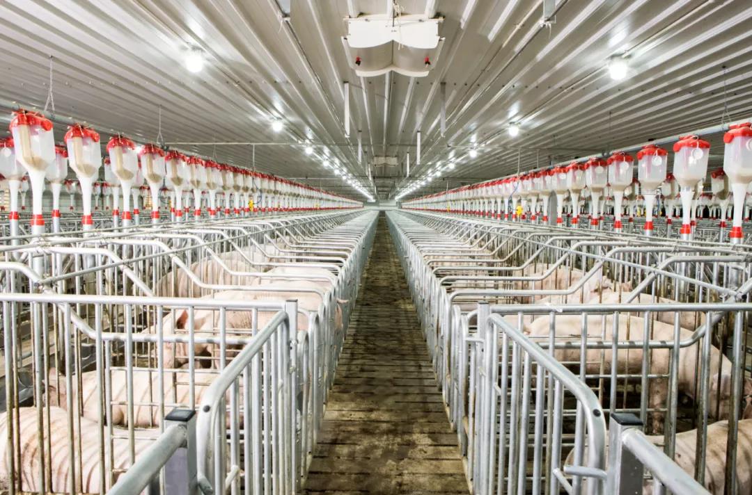 ��������(�й���)���޹�˾����