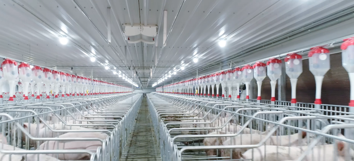 ��������(�й���)���޹�˾����