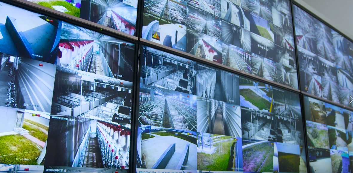 ��������(�й���)���޹�˾����