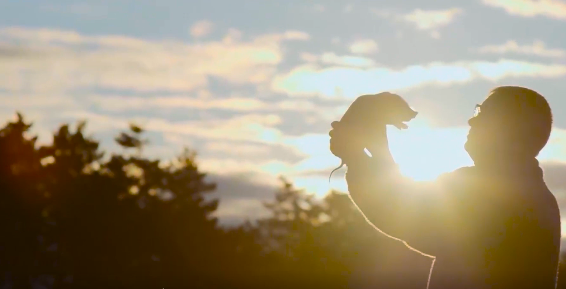 金世豪·(中国区)有限公司官网