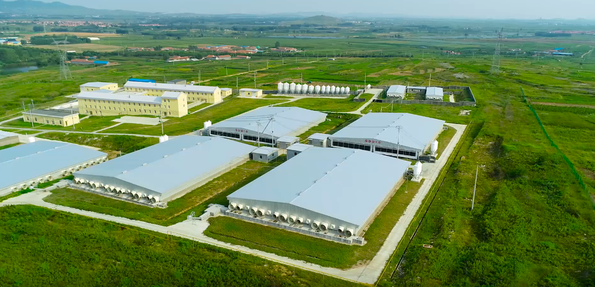 ��������(�й���)���޹�˾����