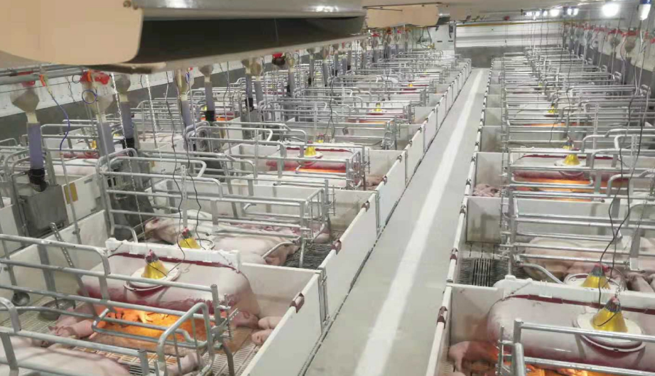 ��������(�й���)���޹�˾����