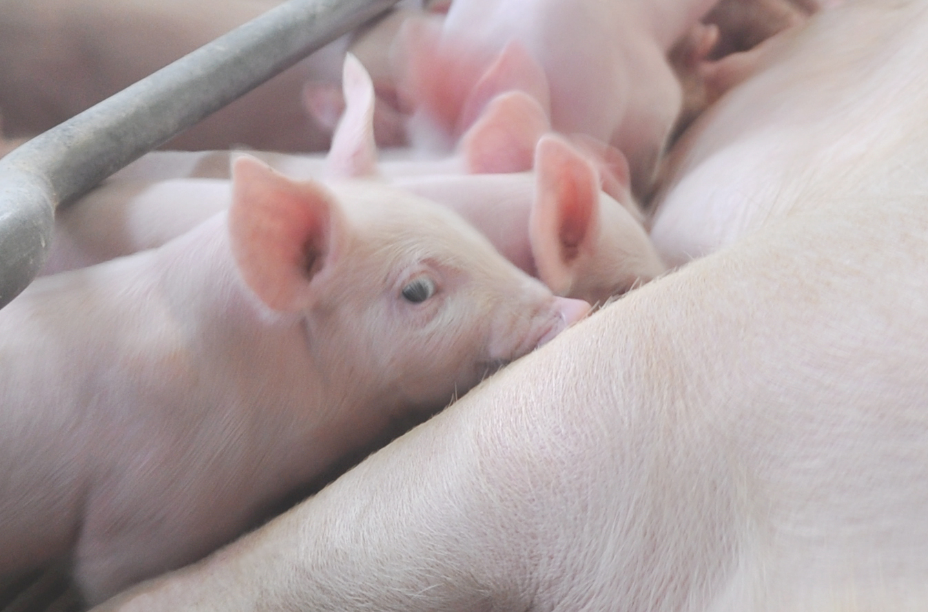 ��������(�й���)���޹�˾����