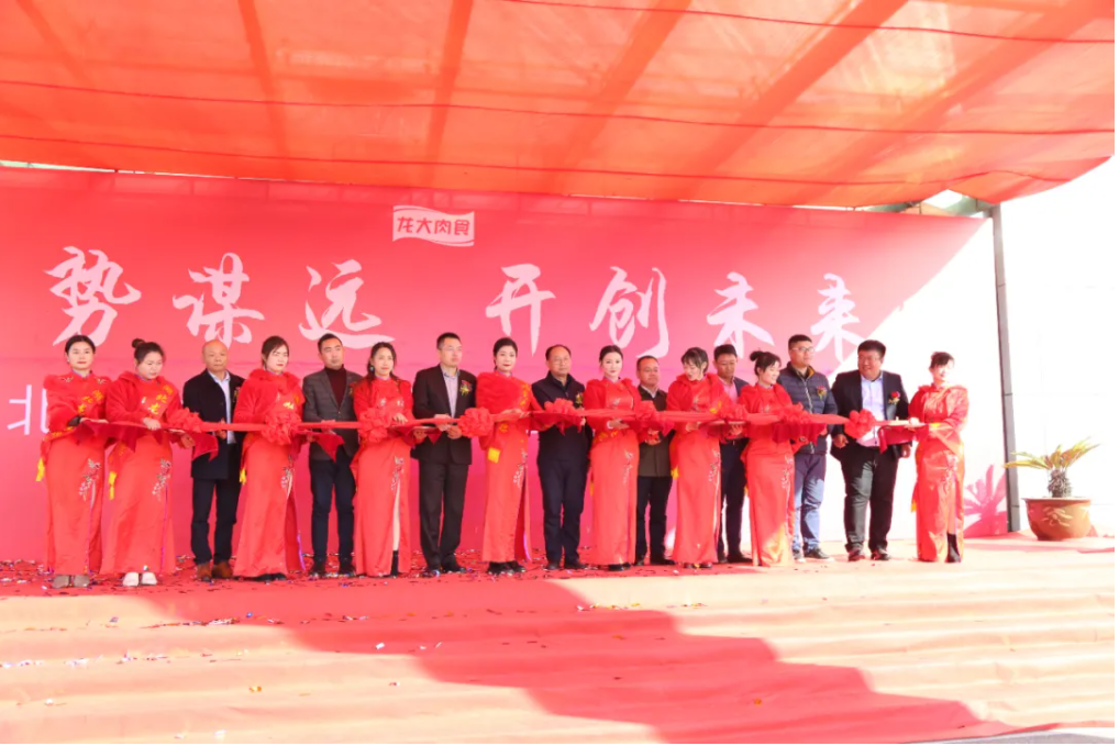 ��������(�й���)���޹�˾����