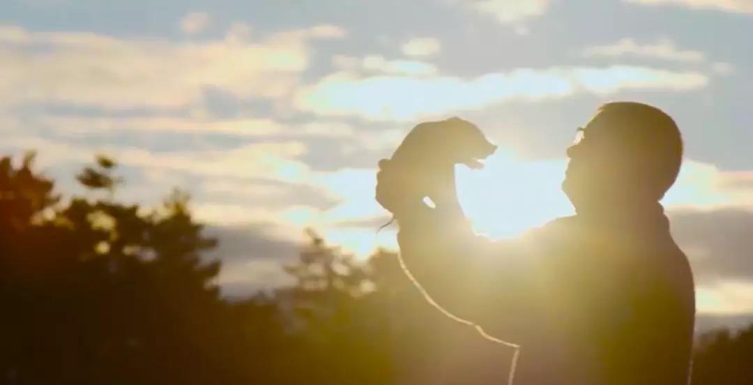 ��������(�й���)���޹�˾����