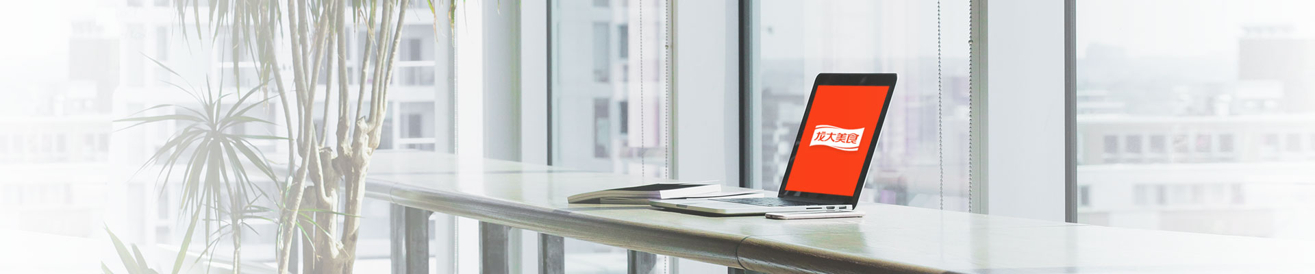 ��ϵ������