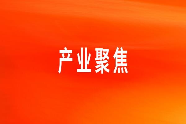 ������Ӧ����������������ר�����񡪡������ͻ�����ġ���������ʳ���塱