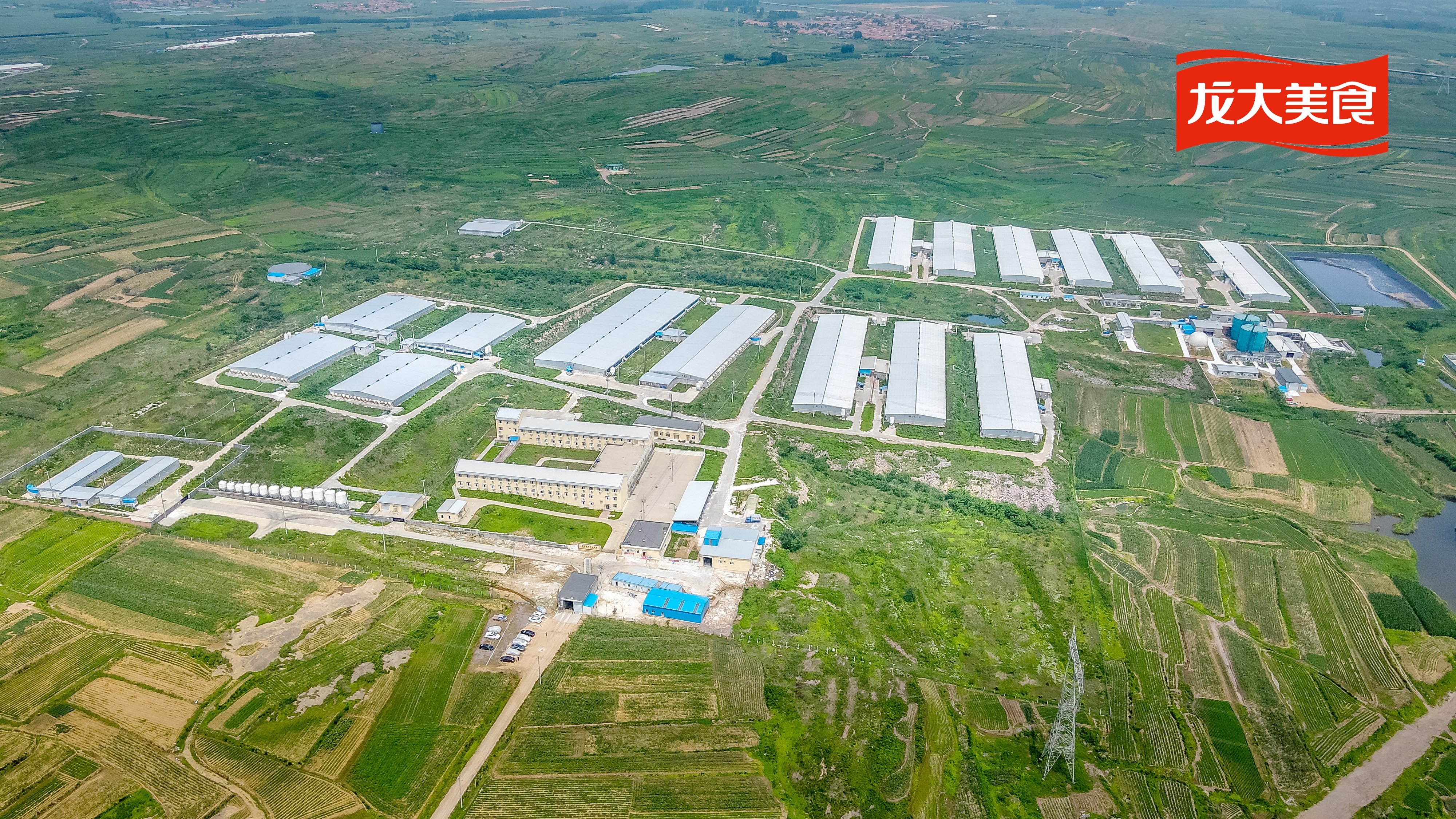 ��������ʳ˳���������ɺ������������������������������������������У�